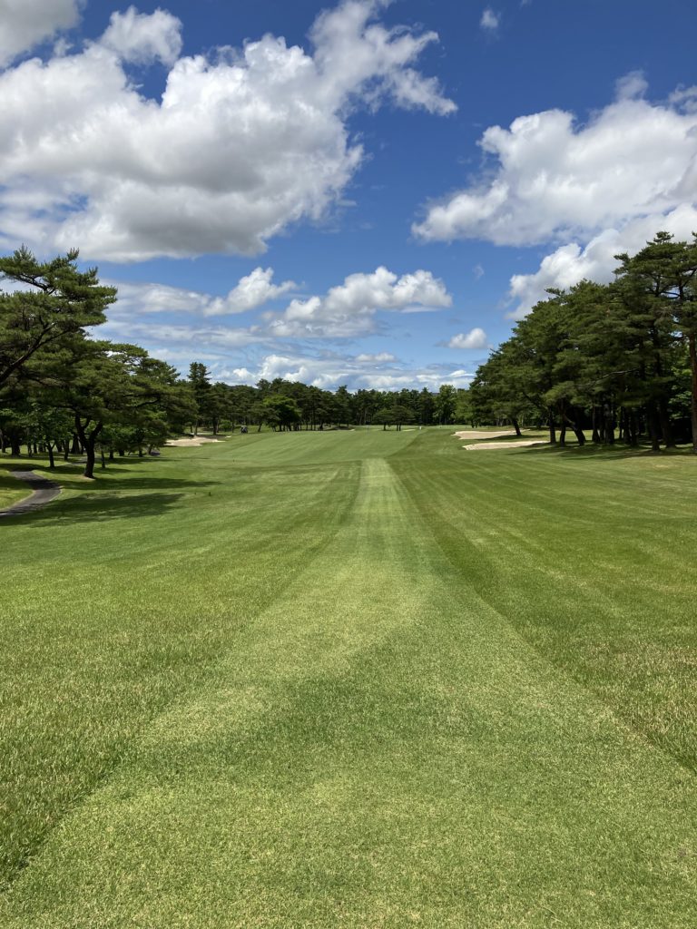 46歳ブログ初挑戦