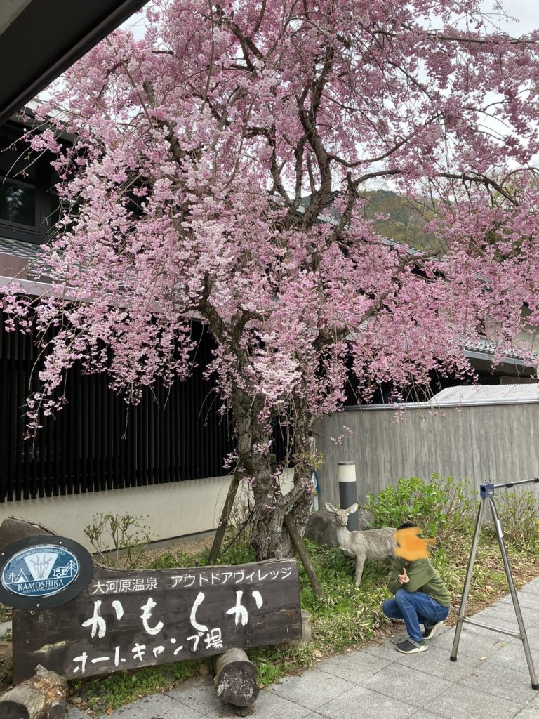 かもしかオートキャンプ場